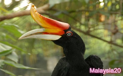 Kuala-Lumpur-Bird-Park-%20malaysia20_loxblog-5.jp