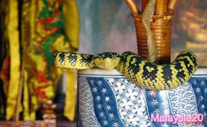 Snaketemple